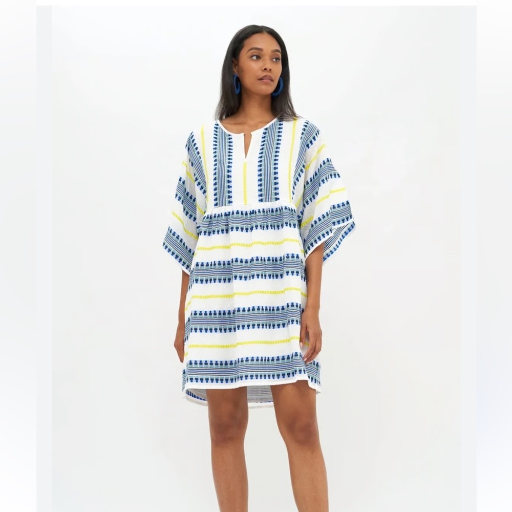 Embroidered Mini Dress
